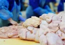 Kosova ndalon përkohësisht importin e mishit të pulës nga Brazili